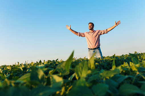 Portrait of young farmer standing in soybean field with his arms outstretched.