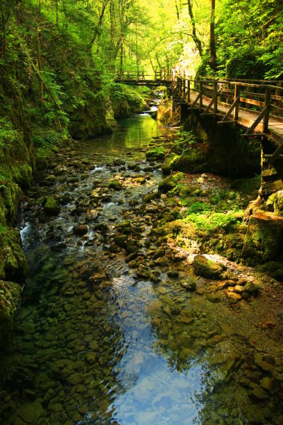 Kamacnik, Gorski kotar area, Croatia stock photo