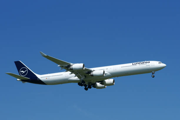 Munich, Germany - August 17, 2108:  Lufthansa Airbus A340-600 with identification D-AIHI landing at Munich airport.  Cloudles sky in background. This plane features latest Lufthansa livery.