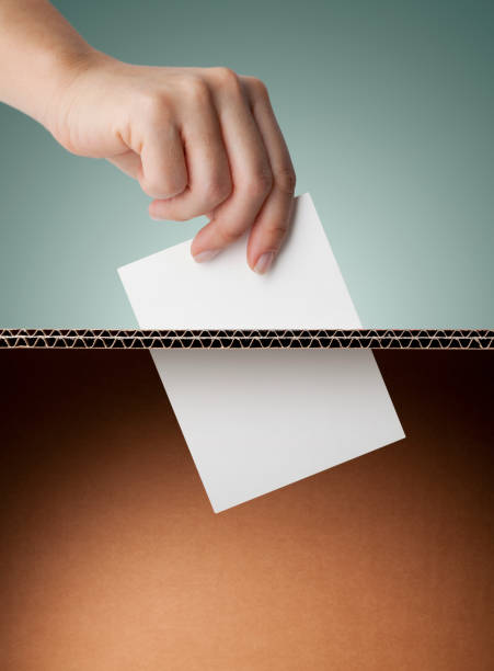 Vote. Ballot box. A woman voting. suggestion box stock pictures, royalty-free photos & images