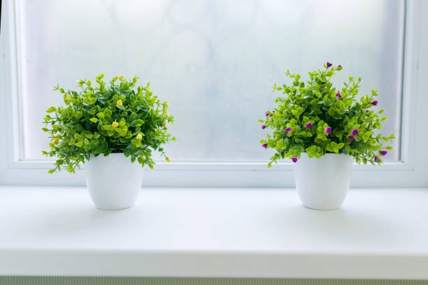istock Interior green flowers grass in white pot, on white window sill. 1022179048