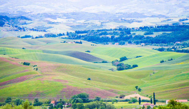 istock Tuscan landscape with trees and cultivated land 1022187614