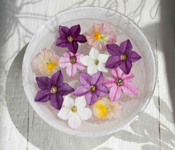 istock Flowers in a bowl of water 1022190782