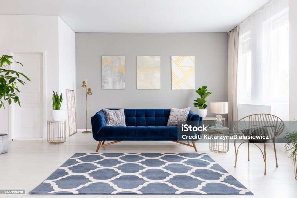 Real photo of bright living room interior with royal blue couch, three simple paintings, window with curtains and fresh plants Carpet - Decor Stock Photo