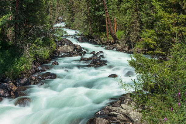 istock mountain river. fast stream water. Russia Altai 1022197988