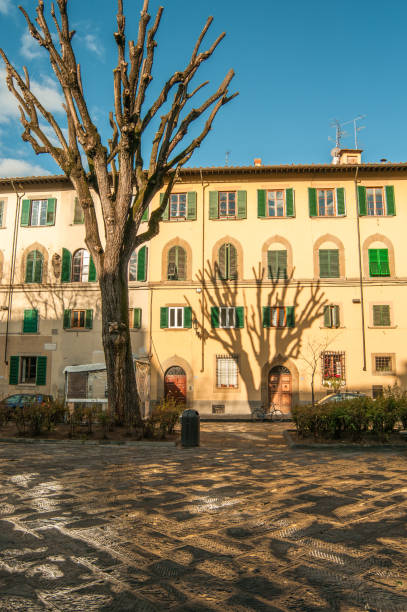 istock Tree near the house, Florence 1022198220