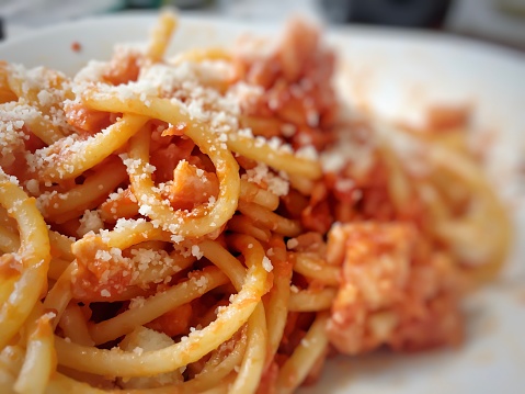 Homemade pasta bucatini amatriciana with tomato sauce, cured pork cheek and grated pecorino cheese