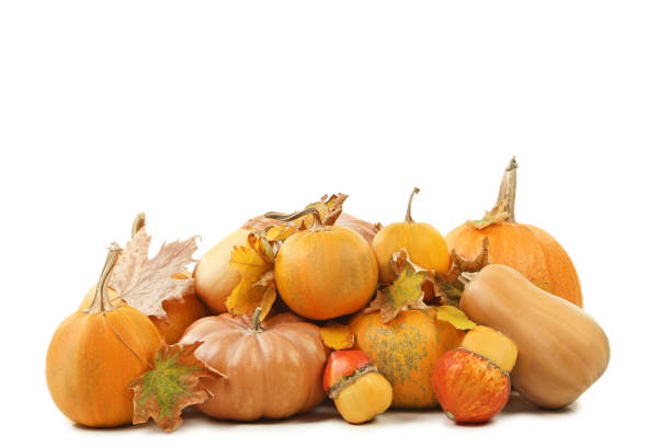 istock Orange pumpkins with dry leafs isolated on a white background 1022201996