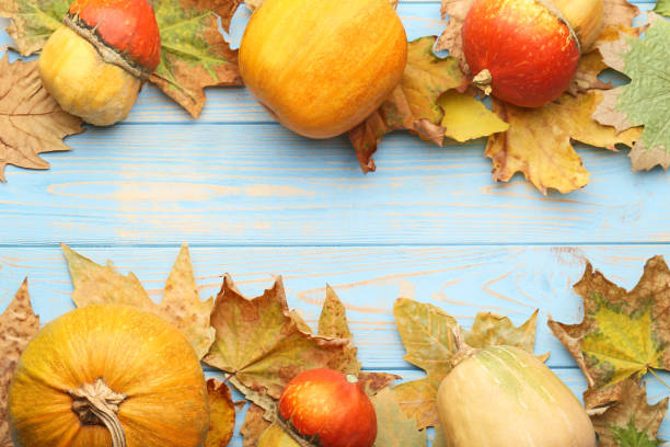 istock Orange pumpkins with dry leafs on blue wooden table 1022202336