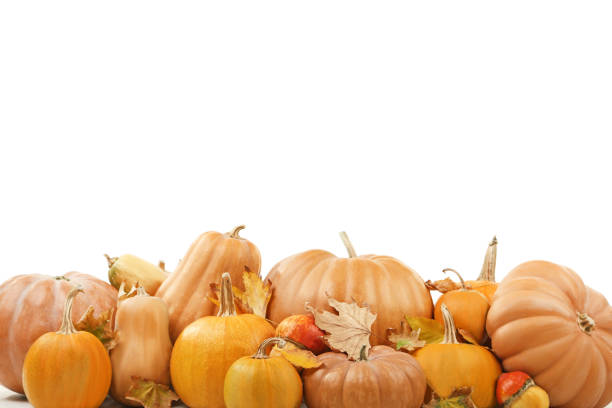 istock Orange pumpkins with dry leafs on a white background 1022202592