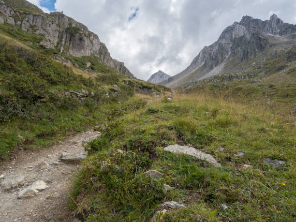 istock 2018 august the 19th  Senales valley 1022219252