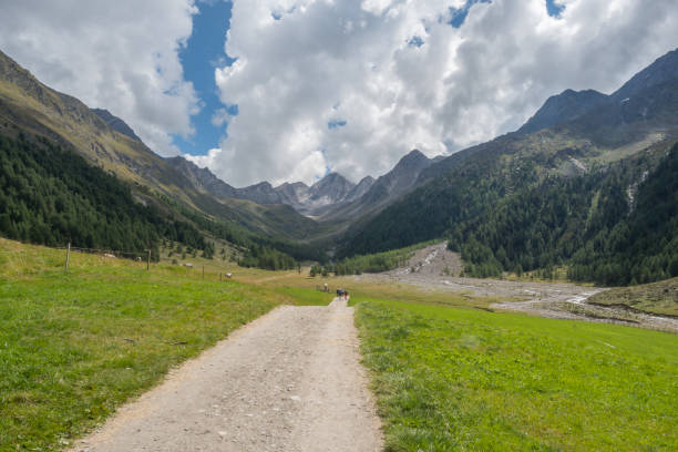 istock 2018 august the 19th  Senales valley 1022219280