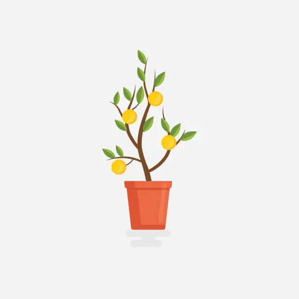 Vector illustration of Flat money plant. Flat design tree with money dollar. Business investment symbol