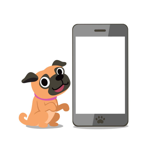 istock Vector cartoon character pug dog and smartphone 1022227932