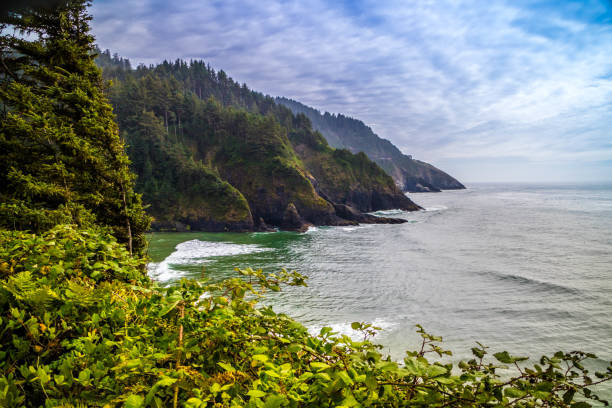 istock Heceta Head Lighthouse State Park Scenic Viewpoint in Florence, Oregon 1022228068