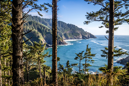 Waves coming from the sea in Heceta Head Lighthouse State Park