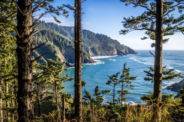 Heceta Head Lighthouse State Park Scenic Viewpoint in Florence, Oregon stock photo