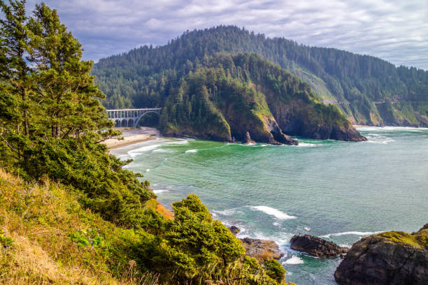 aussichtspunkt heceta head lighthouse state park in florence, oregon - lane stock-fotos und bilder