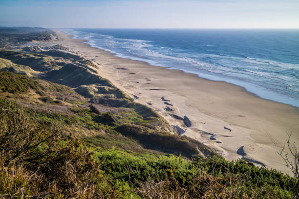 istock Heceta Head Lighthouse State Park Scenic Viewpoint in Florence, Oregon 1022228108