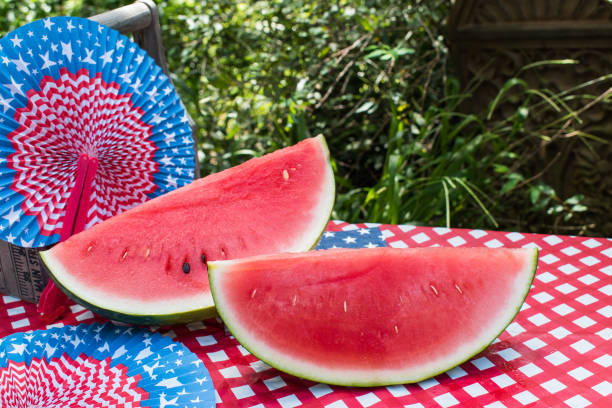 istock Sliced Watermelon on Fourth of July 1022234112