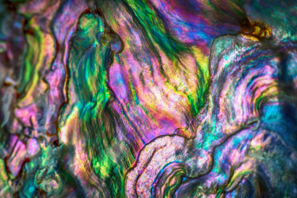 istock High magnification macro of nature texture pearl shell. 1022236952