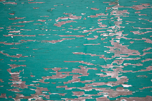Grungy closeup of peeling flaking green paint on plywood wallpaper background
