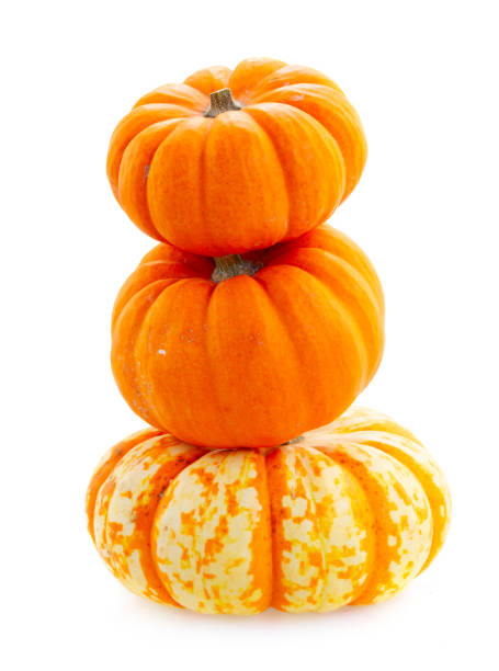 istock Fall harvest of pumpkins 1022255056