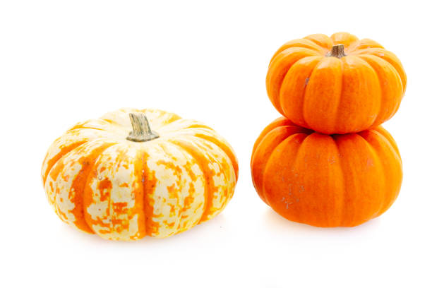 istock Fall harvest of pumpkins 1022255082
