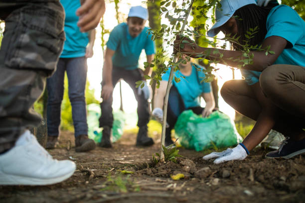 People Planting Tree In Park Happy community service people cleaning up the park and Planting Tree In Park volunteer tree planting stock pictures, royalty-free photos & images