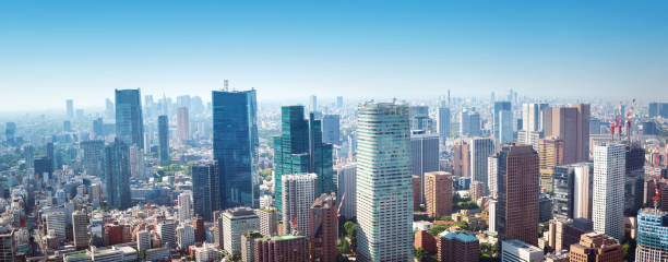 istock panoramic view to the Tokyo, Japan from air 1022263688