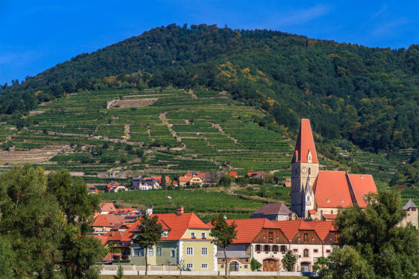 istock Wachau Valley, Weisskirchen (Austria) 1022271364