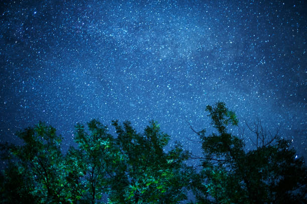 istock Sky and Mountain Forest at Night with Milky Way Galaxy 1022271868