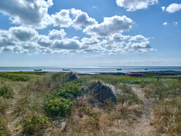 istock Denmark: View from a dune over a coastal salt marsh and a wide bay 1022278496