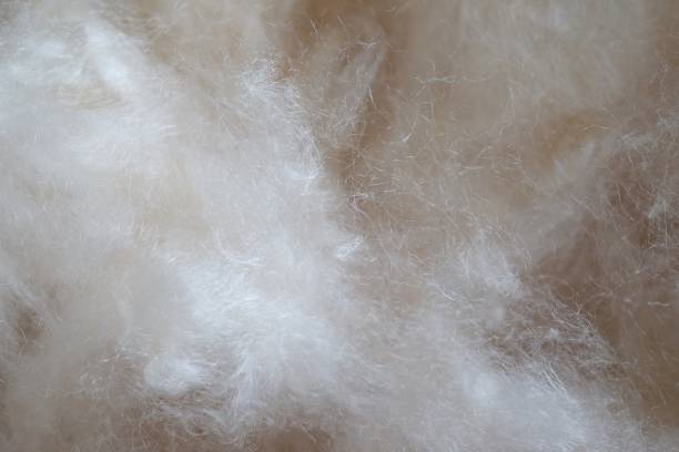 istock Texture of cotton wool background 1022285304