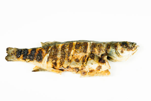 grilled fish on white background