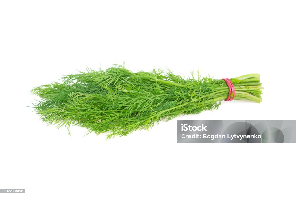 bunch of dill isolated on white background Dill Stock Photo