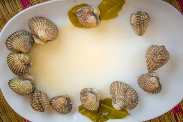 Boiled blood clams on white dish with copy space for your text. Steamed cockles frame with copy space. Blood cockles or blood clams (Tegillarca granosa) background for seafood concept. hervir almejas de sangre en el plato blanco con espacio de copia de su texto. al vapor marco de berberechos con espacio de copia. berberechos de sangre o sangre almejas (pacífico occidental tegillarca granosa) fondo de concepto de pescados y mariscos.
