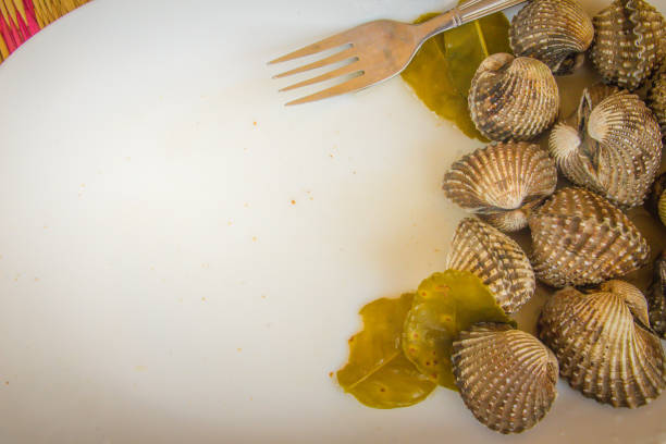 Boiled blood clams on white dish with copy space for your text. Steamed cockles frame with copy space. Blood cockles or blood clams (Tegillarca granosa) background for seafood concept. hervir almejas de sangre en el plato blanco con espacio de copia de su texto. al vapor marco de berberechos con espacio de copia. berberechos de sangre o sangre almejas (pacífico occidental tegillarca granosa) fondo de concepto de pescados y mariscos.
