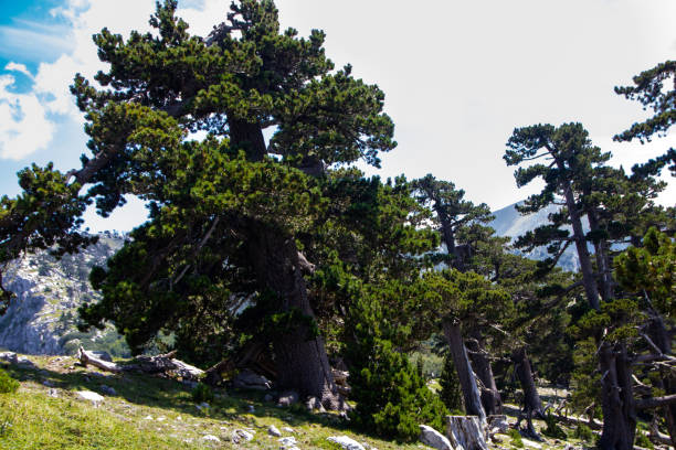 istock Garden of gods 1022308660