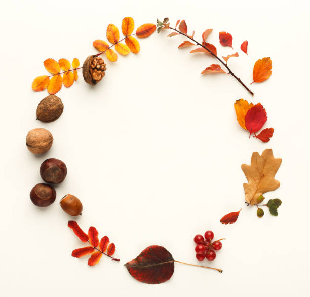 istock Autumn leaves and nuts in circle frame isolated on white 1022309074