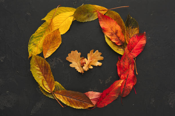 istock Autumn red and yellow leaves frame on dark background 1022309534