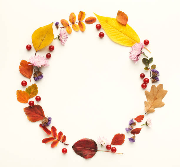 istock Autumn colourful leaves in circle frame isolated on white 1022311600