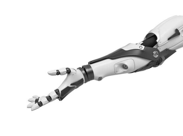 istock 3d rendering of a single cyborg arm with the palm held up in friendly gesture 1022313152