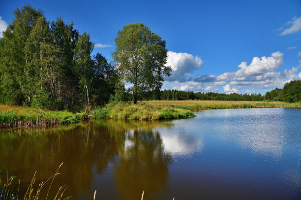 istock Russian scenery in summer time 1022313740