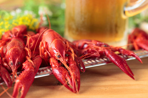 istock Boiled crawfish with dill and mug of beer . 1022318996