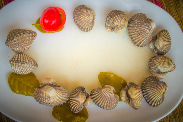 Boiled blood clams on white dish with red tomato background and copy space for your text. Steamed cockles with red tomato and copy space. Blood cockles or blood clams (Tegillarca granosa) background.