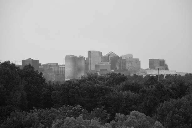 Trees And Buildings Against Clear Sky