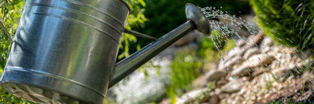istock Watering flowerbed using watering can. Gardening hobby concept banner. 1022326230