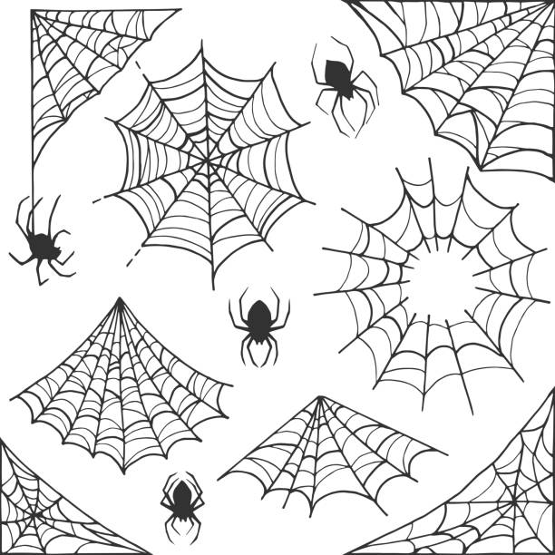 Spider web Halloween symbol. Cobweb decoration elements collection. Halloween cobweb vector frame and borders with spider for scary design Spider web vector Halloween symbol. Cobweb decoration elements collection. Halloween cobweb vector frame and borders with spider for scary design spider web stock illustrations