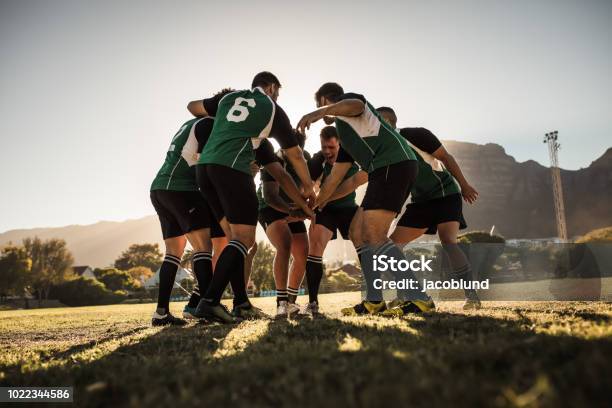 Jugadores De Rugby Que Anima Y Celebrando La Victoria Foto de stock y más banco de imágenes de Rugby - Deporte